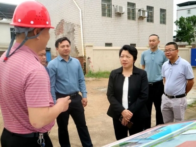 吴丽丽带队开展五一节前分管领域安全生产检查工作