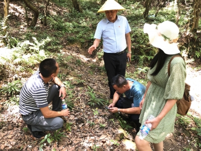 驻平远县差干镇帮镇扶村工作队：播好产业种子 培育生金沃土