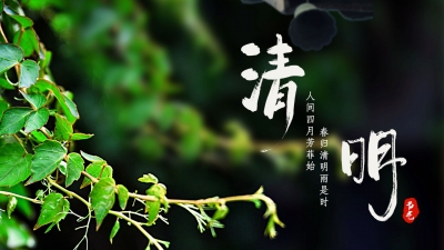 今日清明