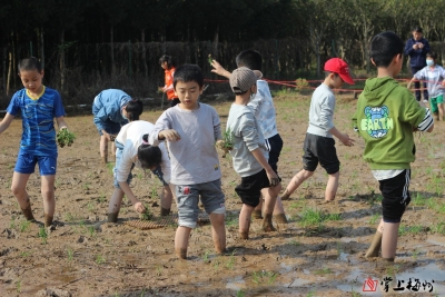 趣野炊乐插秧 体验劳动之乐！梅州日报小记者走进梅县区南口镇南源世第采风活动侧记