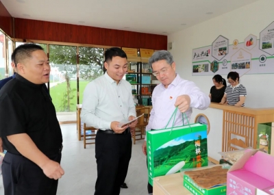 朱少辉到梅林镇开展“百县千镇万村高质量发展工程”专题调研 聚力产业项目建设 培育高质量发展新动能