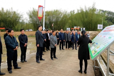 大埔县2023年春耕生产现场会在枫朗镇举行