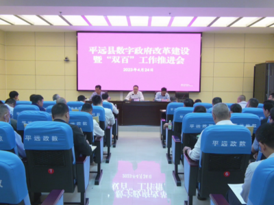 平远县召开数字政府改革建设暨“双百”工作推进会