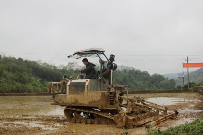 兴宁市黄槐镇举办春耕春种生产暨撂荒耕地复耕复种现场会