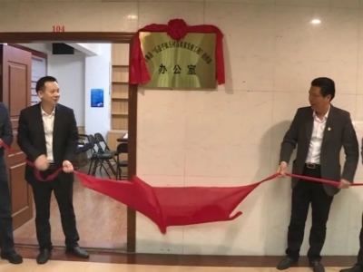 丰顺县“百县千镇万村高质量发展工程”指挥部办公室揭牌成立