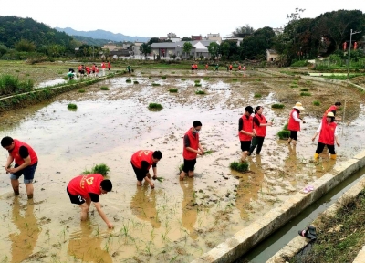 兴宁市石马镇举办春耕春种生产暨撂荒耕地复耕复种现场会