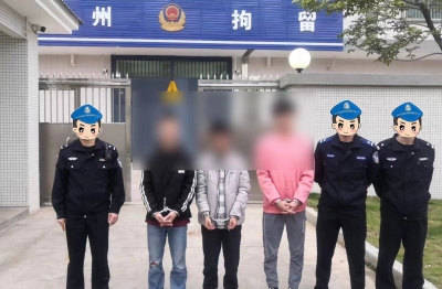 将境外电话伪装成国内电话实施诈骗，3名男子被抓！