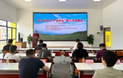 梅江区这10个村，有了“ 产业村长”！