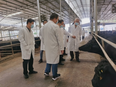 陈广浩率队来梅开展专题调研：发展特色产业 助推乡村振兴