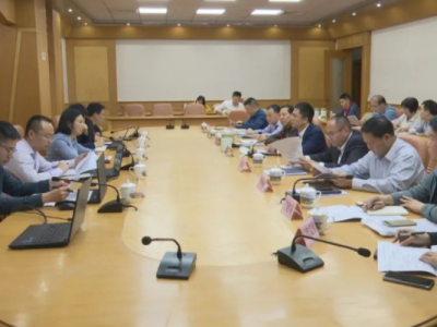 王锋与中国国际经济咨询有限公司负责人座谈交流：加强后续对接 深化务实合作 助力梅县区高质量发展