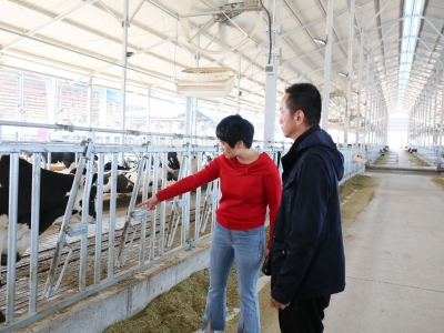 驻平远镇长田镇帮镇扶村工作队：科技专家进牛舍 把脉问诊助发展