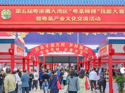 “五个最”！梅州市人社局以过硬作风赢得省人社厅高度评价