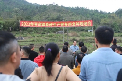 兴宁市罗岗镇举办2023年春耕生产暨复耕复种现场会