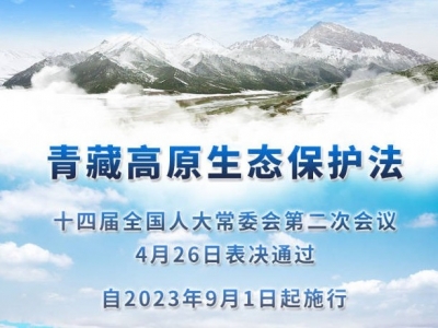 权威快报｜青藏高原生态有了保护法 