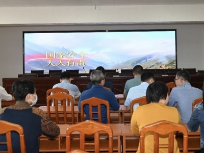 梅江区西郊街道组织开展总体国家安全观教育活动