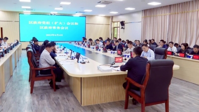 ​王锋主持召开区政府党组（扩大）会议和区政府常务会议 更好统筹发展和安全 推动经济社会高质量发展