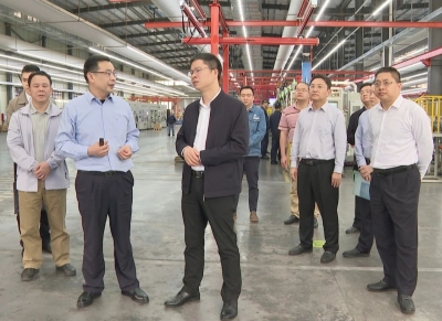 王锋率队开展暖企行动：持续提升当家产业优势 推动实体经济高质量发展