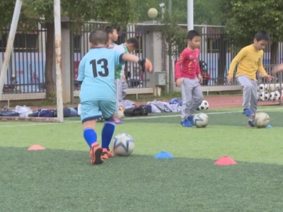 足球青训正当时！梅县区广大青少年刻苦训练逐梦未来