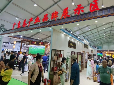 梅州客家炒绿亮相2023潮州工夫茶大会