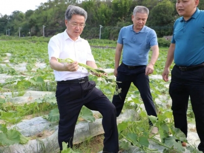 朱少辉率队调研全域土地综合整治试点和耕地保护等自然资源有关工作