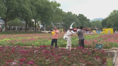 游花海、观奇峰...“五一”假期，平远景区人气旺