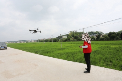 生产托管让农民省心又省力！梅州加快推进农业社会化服务为农业生产“保驾护航”