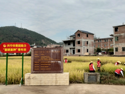 在高质量发展中展青春担当，共青团兴宁市委这样干！
