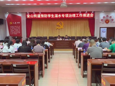 梅江区金山街道开展校外培训机构治理暨防范学生溺水专项治理工作推进会