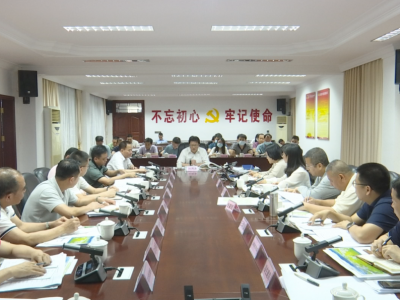 “寿乡画廊”乡村振兴示范带总体规划专家终审会议召开