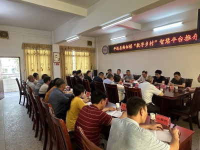 中国电信升级智慧大屏，为“数字乡村”按下“快捷键”