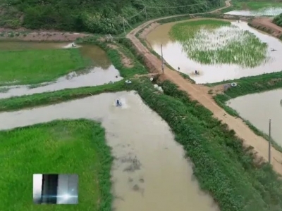 五华：发挥“产业村长”效应 领航乡村产业振兴发展