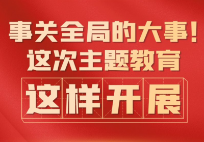 事关全局的大事！这次主题教育这样开展
