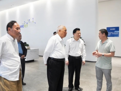 陈开枝到丰顺县调研“百县千镇万村高质量发展工程”工作