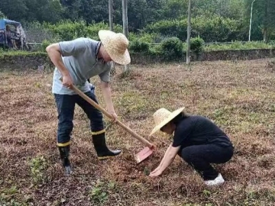 撸起袖子学耕助耕！兴宁市石马镇共青团组织开展主题团日活动