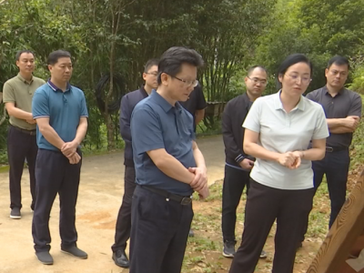 刘鸿涛深入蓝坊镇、南磜镇蹲点调研：立“竹”新优势，培育新业态，全力推动高质量发展