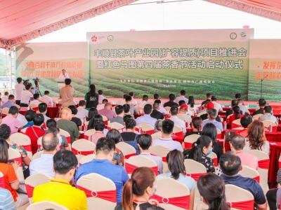 助推特色茶业实现“二次腾飞”！丰顺县茶叶产业园（扩容提质）项目推进会暨红色马图第四届茶香节启动