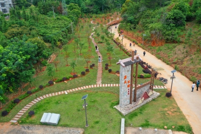 生态含绿量赋能发展含金量！蕉岭持续推进森林质量精准提升致力打造绿美广东蕉岭样板