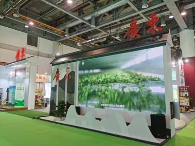 客家炒绿亮相第五届中国国际茶博会