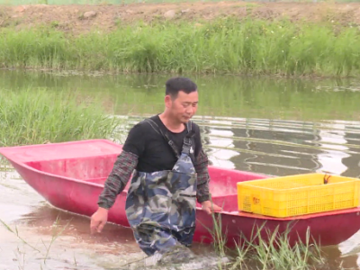 五华：抓产业 促发展 致富带头人带出共同富裕好光景