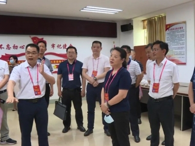 市人大常委会到丰顺开展“双百”工作专题视察：以“双百”优化提升推动高质量发展