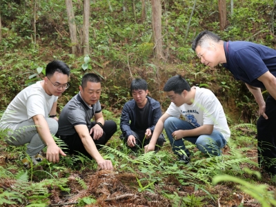 基层一线绘青春——记“广东省五四红旗团委”差干镇团委