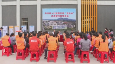 平远县人社局开展政策法规“进企业”法治宣传教育活动