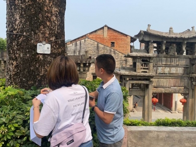 让古树名木焕发新活力！大埔落实古树名木保护措施