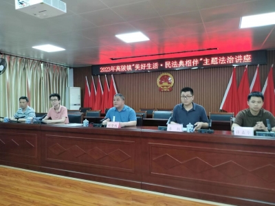 大埔高陂镇召开“美好生活•民法典相伴”主题法治讲座