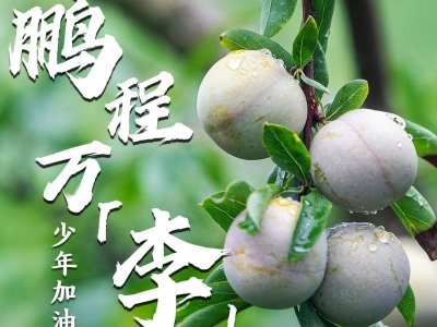 9张图送你！2023，高考必胜！