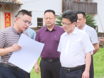 刘鸿涛深入新铺镇调研：全力打造全域土地综合整治“蕉岭模式”，推动“百千万工程”落地见效