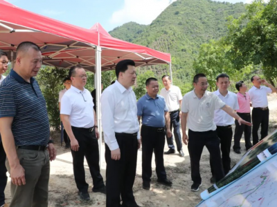 张志锋调研绿美丰顺工作并开展林长制巡林活动：强化思想引领 加快建设高水平城乡一体化绿美环境