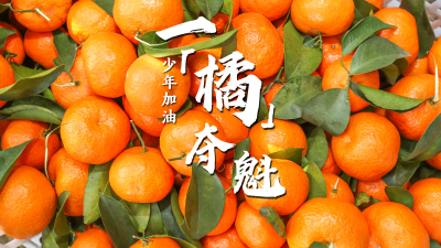 9张图送你！2023，高考必胜！