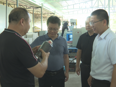 刘鸿涛调研“四上”企业培育工作：加快培育“四上”企业，增强高质量发展后劲