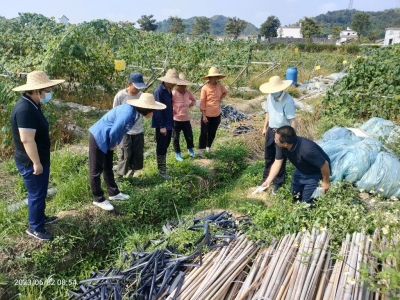 科技下乡治蚁护农！兴宁市刁坊镇驻镇帮镇扶村工作队科技特派员开展红火蚁、白蚁防治培训